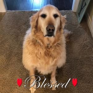 Meet your Posher, Christy